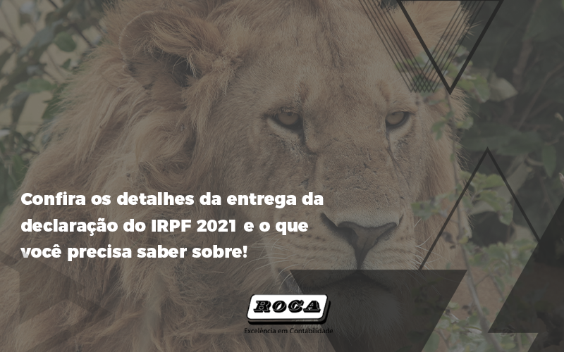 Confira Os Detalhes Da Entrega Da Declaração Do Irpf 2021 - Contabilidade No Morumbi - SP | Roca Contábil