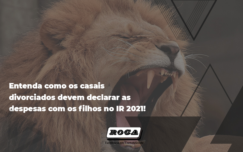 Entenda Como Os Casais Divorciados Devem Declarar As Despesas Com Os Filhos No Ir 2 - Contabilidade No Morumbi - SP | Roca Contábil