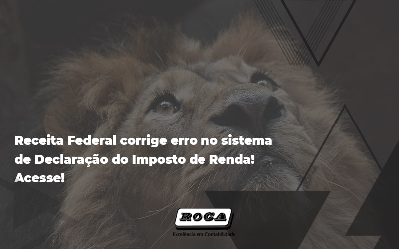 Erro No Sistema De Declaração Do Imposto (1) - Contabilidade No Morumbi - SP | Roca Contábil