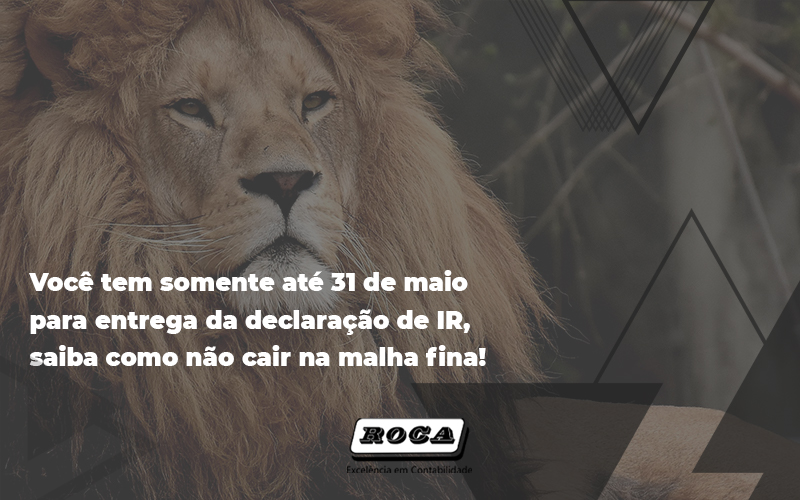 Você Tem Somente Até 31 De Maio Para Entrega Da Declaração De Ir, Saiba Como Não Cair Na Malha Fin - Contabilidade No Morumbi - SP | Roca Contábil