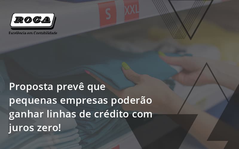 Proposta Prevê Que Pequenas Empresas Poderão Ganhar Linhas De Crédito Com Juros Zer Roca - Contabilidade No Morumbi - SP | Roca Contábil