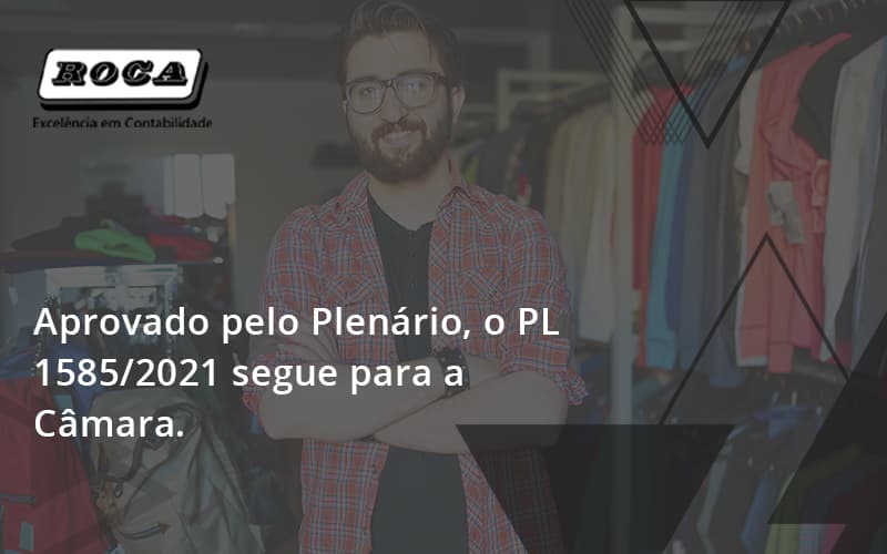 Aprovado Pleno Plenario O Pl 15852021 Segue Para A Camara Roca - Contabilidade No Morumbi - SP | Roca Contábil