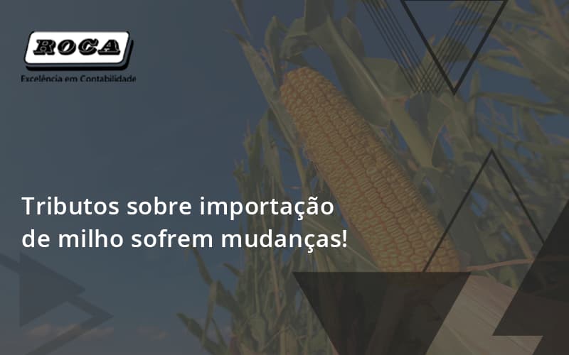 Tributos Sobre Importação De Milho Sofrem Mudanças! Roca - Contabilidade No Morumbi - SP | Roca Contábil
